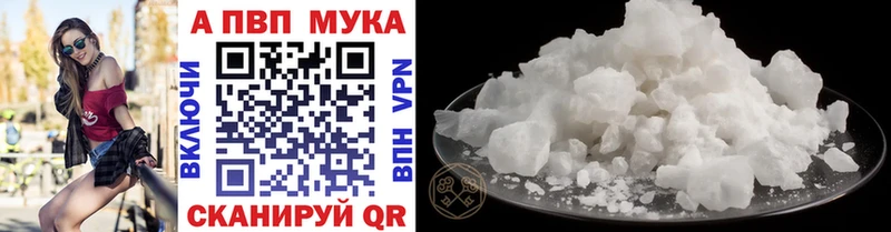 A PVP СК Новозыбков