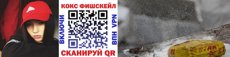 где купить наркоту  Новозыбков  МЕГА ТОР  Кокаин 97% 