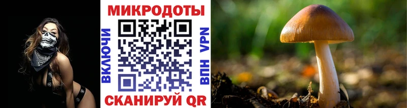 Галлюциногенные грибы Magic Shrooms  Новозыбков 